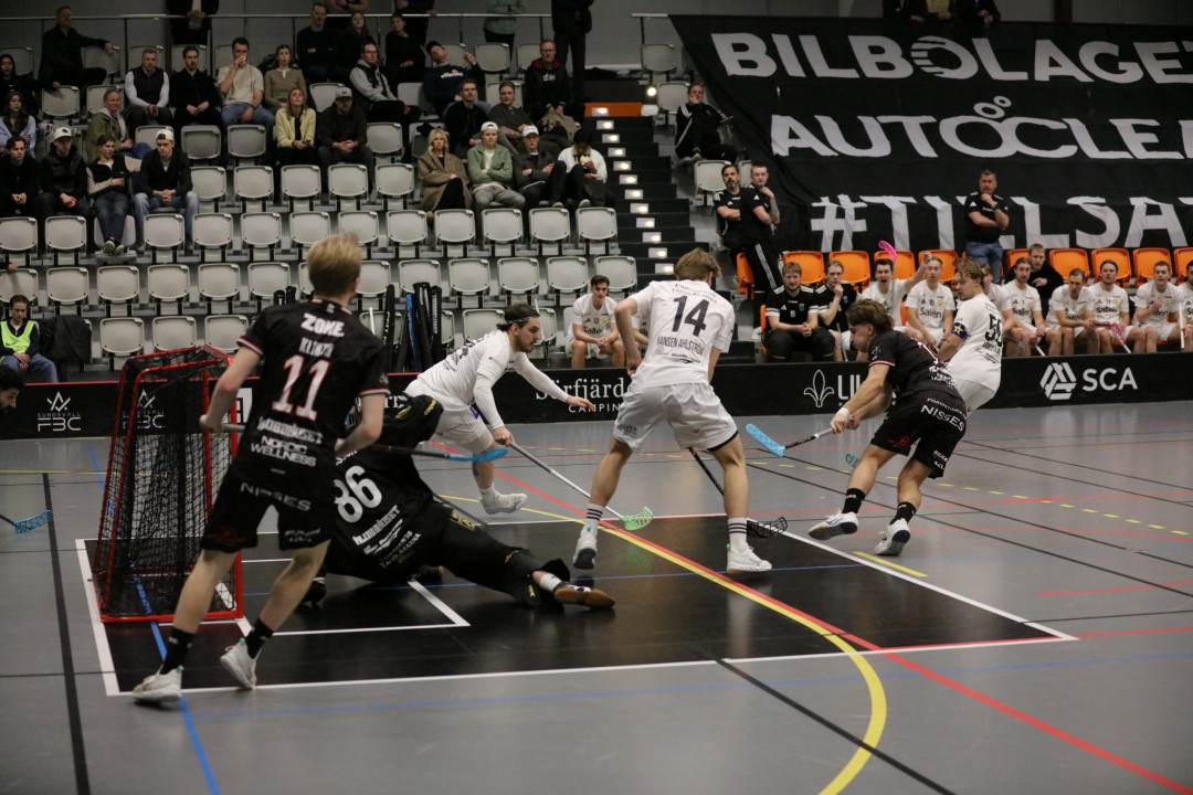 Kvittering i kvalserien efter m&aring;lrikt hemmam&ouml;te