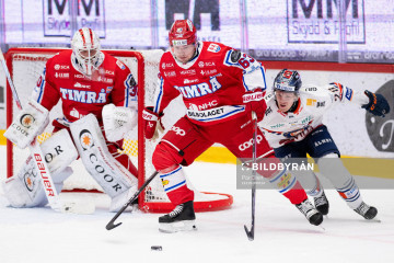 Timrå till kvartsfinal - läs matchrapporten här